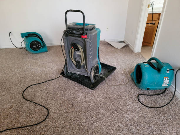 Water damage restoration process in Stafford Courthouse, VA